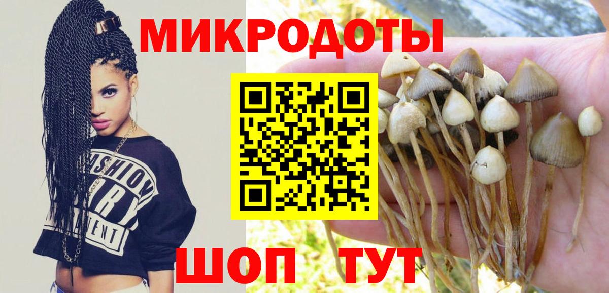 Шелехов  Галлюциногенные грибы Magic Shrooms  цена   Псилоцибиновые грибы мухоморы  Вход с VPN 